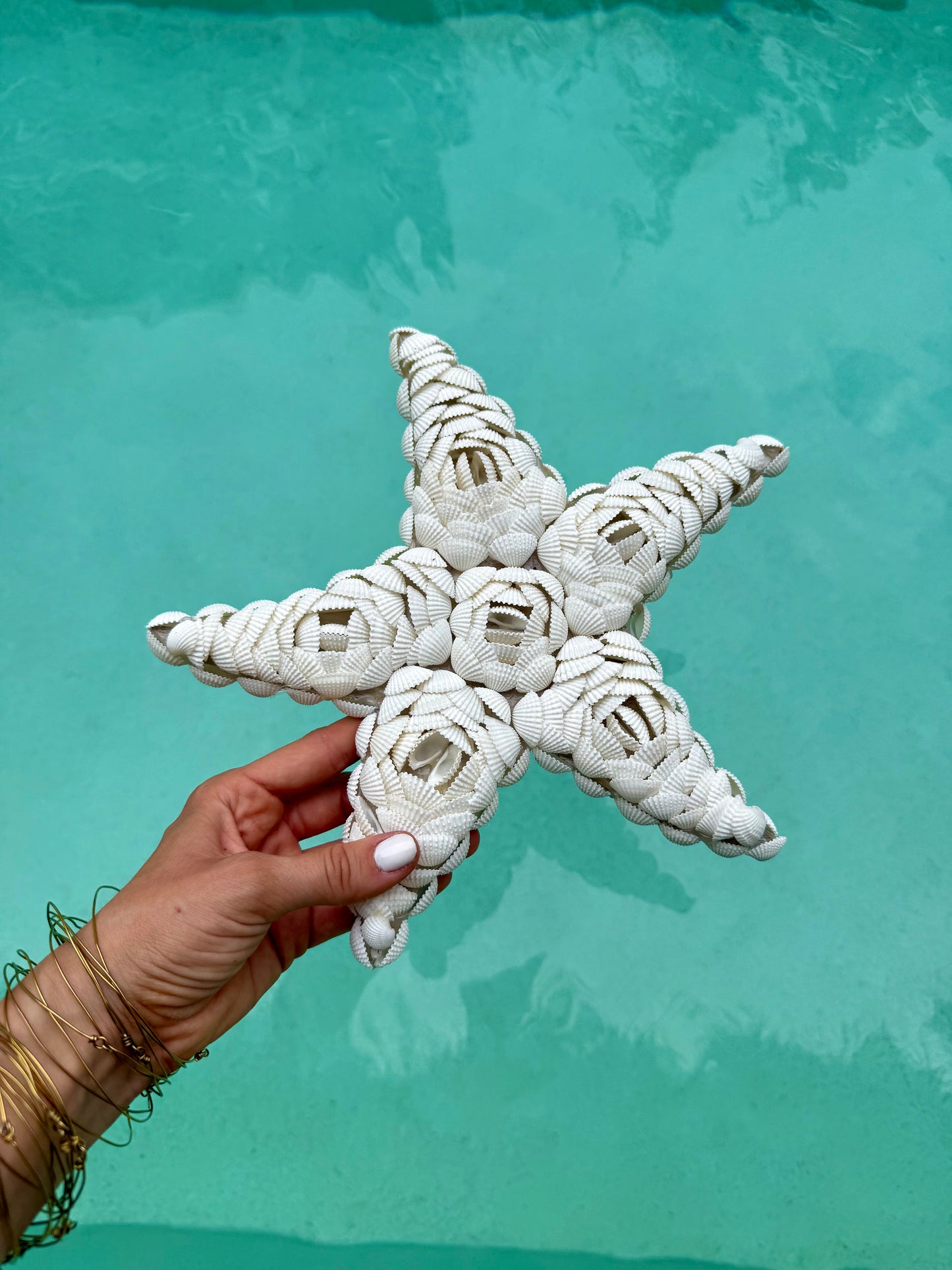 Étoile de mer en coquillages Anadara – décoration naturelle et artisanale de Bali