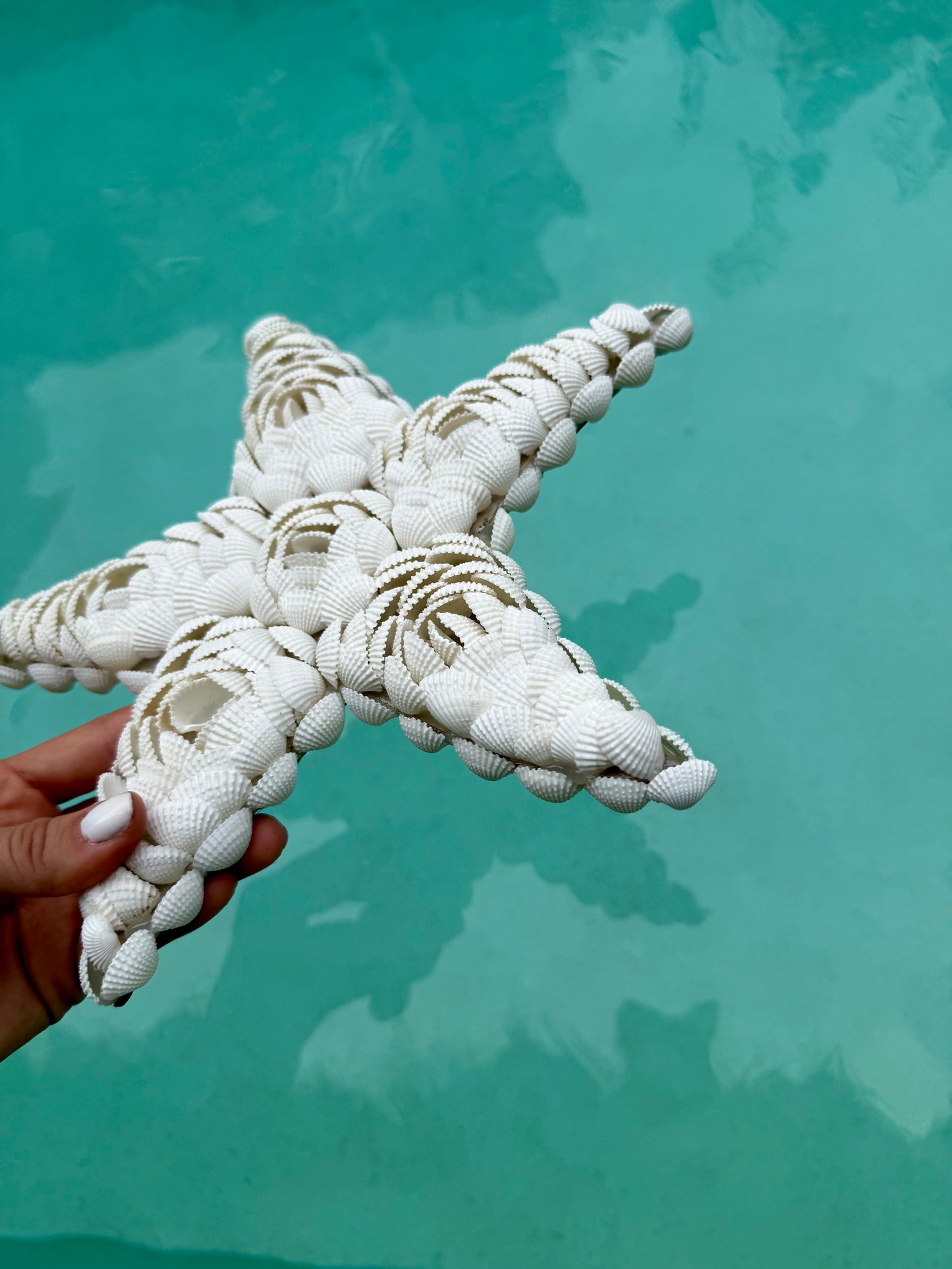 Étoile de mer en coquillages Anadara – décoration naturelle et artisanale de Bali