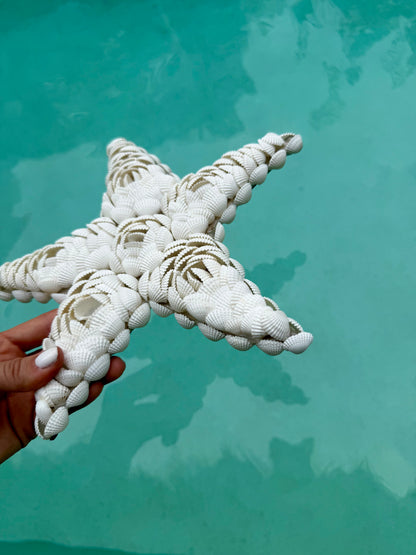 Étoile de mer en coquillages Anadara – décoration naturelle et artisanale de Bali