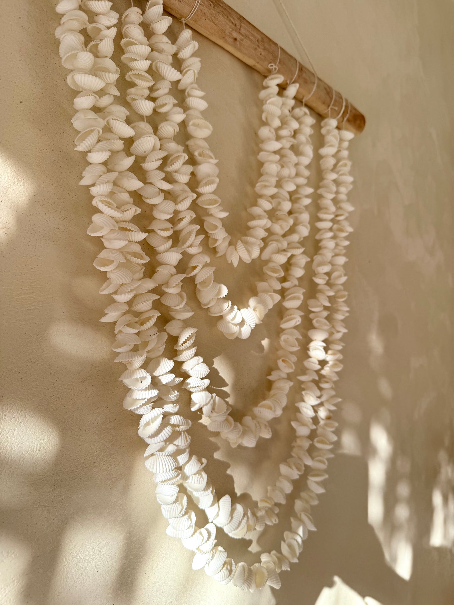 Suspension murale en bois flotté et coquillages Anadara – création artisanale de Bali