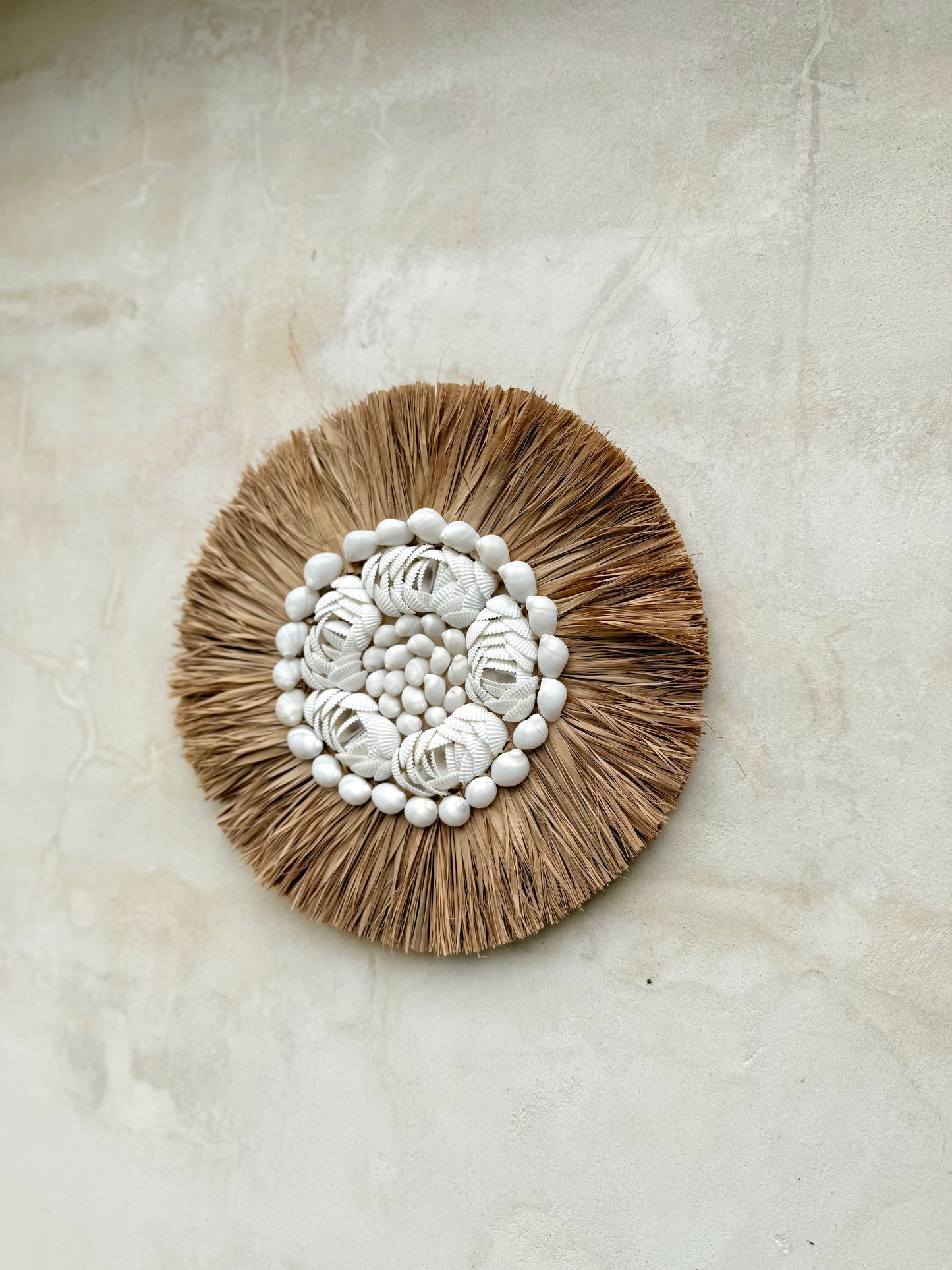 Décoration murale en coquillages et plantes aquatiques séchées – pièce artisanale bohème de Bali