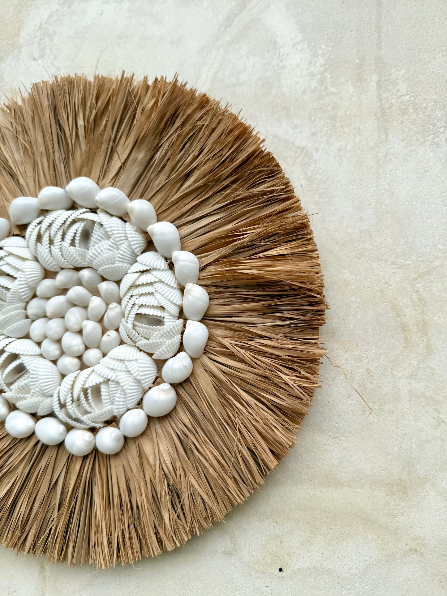 Décoration murale en coquillages et plantes aquatiques séchées – pièce artisanale bohème de Bali
