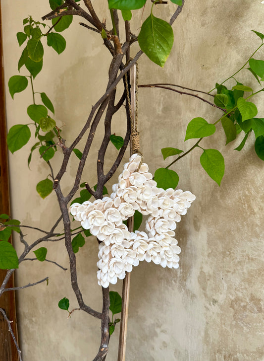 Suspension étoile en coquillages Anadara – touche festive et naturelle de Bali