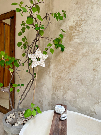 Suspension étoile en coquillages Anadara – touche festive et naturelle de Bali